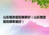 山東植發(fā)醫(yī)院哪家好（山東植發(fā)醫(yī)院哪家最好）