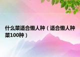 什么菜適合懶人種（適合懶人種菜100種）
