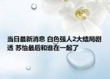 當(dāng)日最新消息 白色強(qiáng)人2大結(jié)局劇透 蘇怡最后和誰(shuí)在一起了