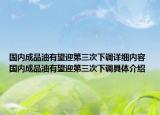 國內(nèi)成品油有望迎第三次下調(diào)詳細(xì)內(nèi)容 國內(nèi)成品油有望迎第三次下調(diào)具體介紹