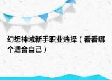 幻想神域新手職業(yè)選擇（看看哪個(gè)適合自己）