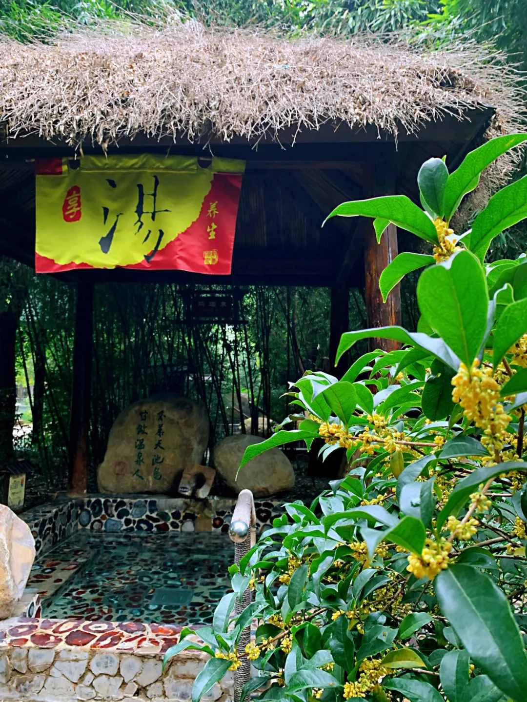 ￥108起！低價(jià)泡進(jìn)山東這些高品質(zhì)湯泉，周邊度假游必收藏