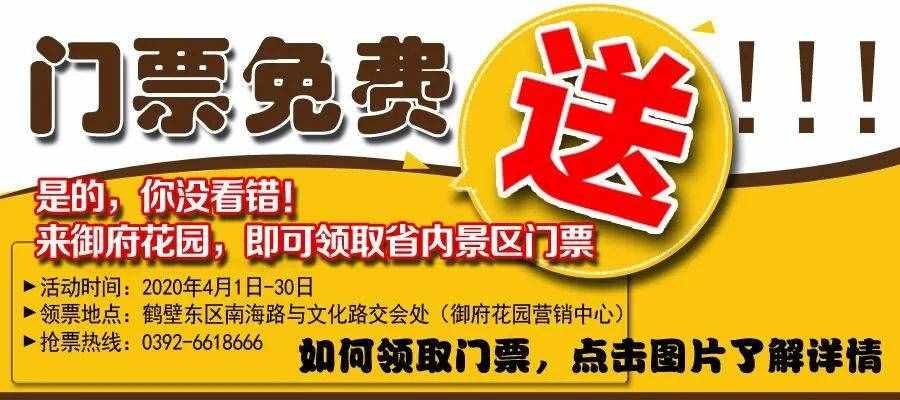告別人工檢票！鶴壁這4個汽車站可“刷臉”進站