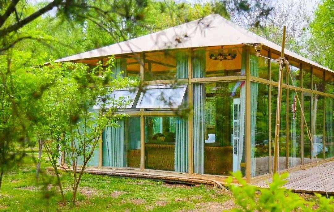 限量搶！59元特惠！濟南野生動物世界狂歡嗨一“夏”！