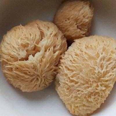 別怪我沒告訴你，炒猴頭菇這么做最好吃