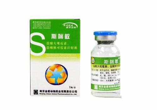 狗狗感冒可以吃哪些藥品？