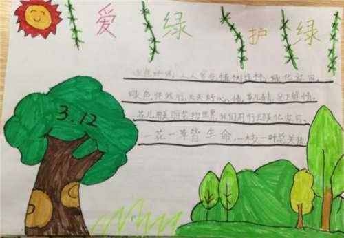 五年級全國一等獎植樹造林手抄報 全國一等獎手抄報