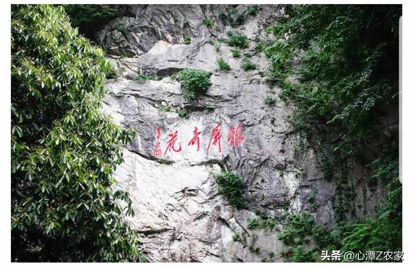 三分巢湖后，被捧在手心的“居巢區(qū)”