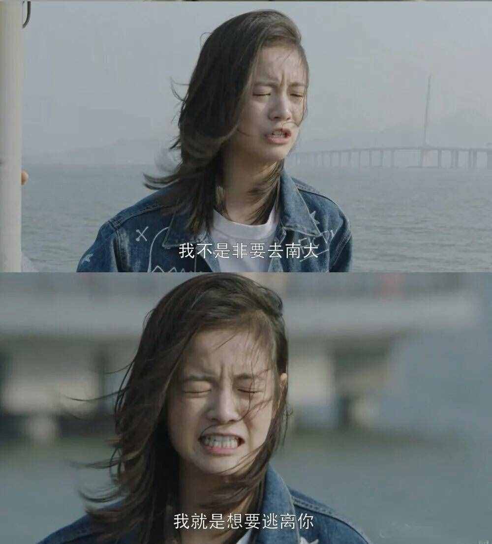 刺猬的擁抱｜告訴你決定人類情感和諧最重要的三個字是什么