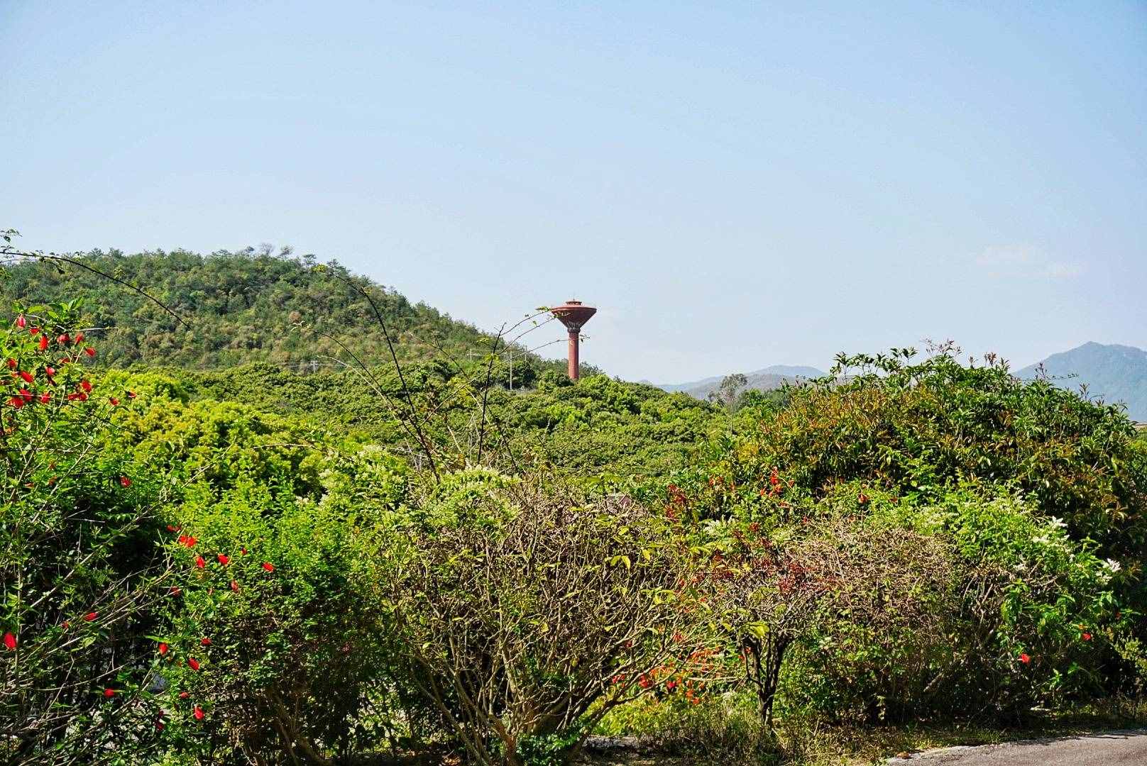 中國第一所民辦本科高校，學(xué)校風(fēng)景優(yōu)美，不輸廈門大學(xué)