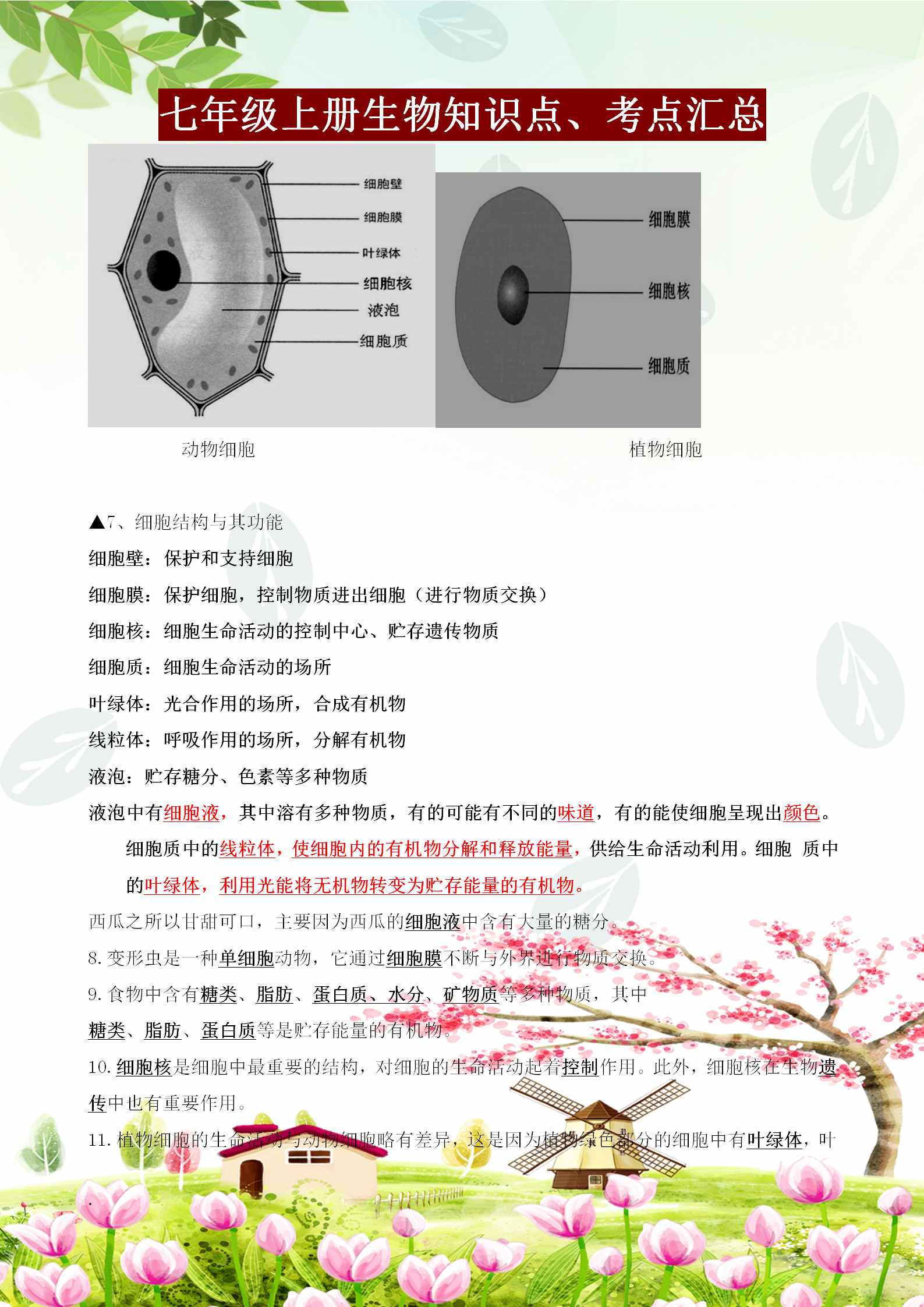 七年級(jí)上冊(cè)生物必背知識(shí)點(diǎn)、考點(diǎn)匯總，這樣背記節(jié)省80%的時(shí)間