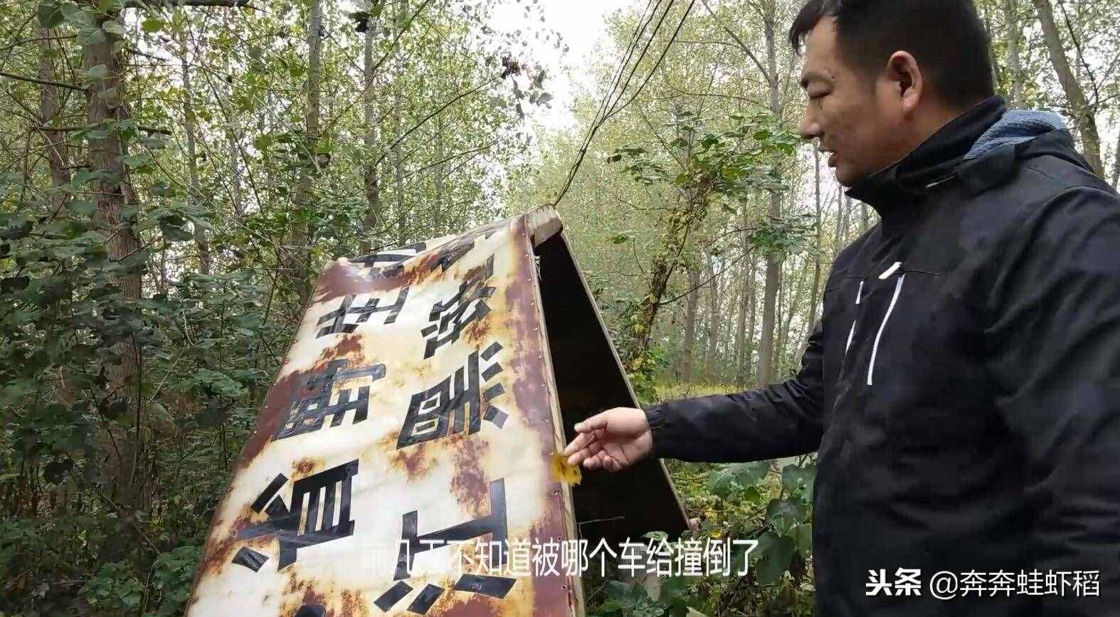 農(nóng)村養(yǎng)青蛙，養(yǎng)得好一畝能賺2-3萬(wàn)，一畝田要投入多少？
