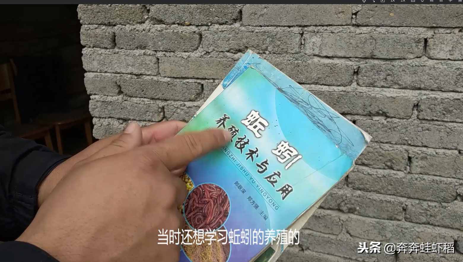 農(nóng)村養(yǎng)青蛙，養(yǎng)得好一畝能賺2-3萬(wàn)，一畝田要投入多少？