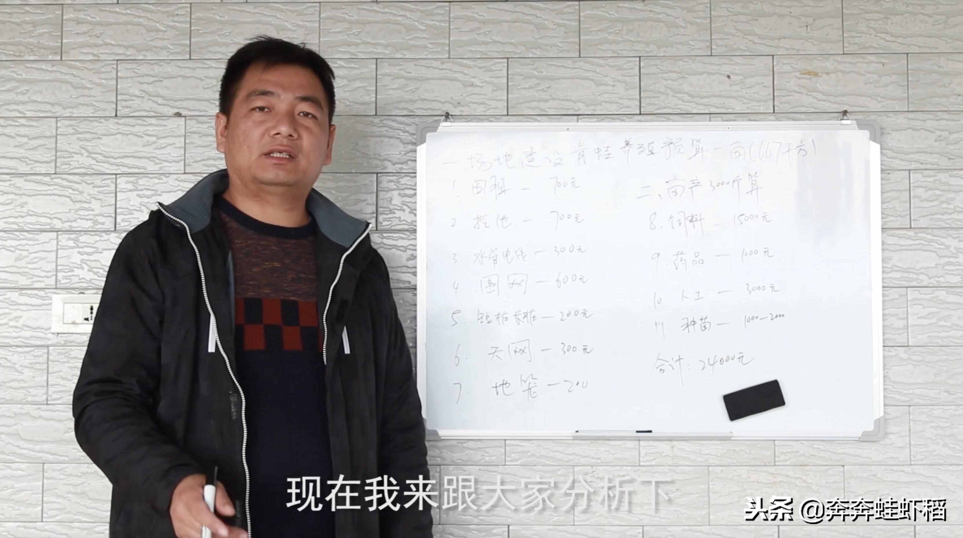 農(nóng)村養(yǎng)青蛙，養(yǎng)得好一畝能賺2-3萬(wàn)，一畝田要投入多少？