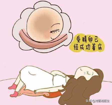 排卵期一共有幾天？哪一天更容易懷孕呢？
