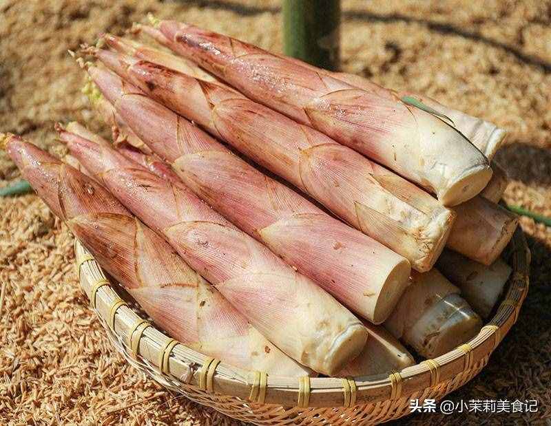 同樣是筍，“春筍”和“冬筍”有何不同？筍農(nóng)：區(qū)別大了，別買錯(cuò)
