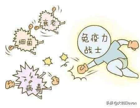 為什么蝙蝠心跳每分鐘1000次，攜帶上百種病毒卻能活40歲？