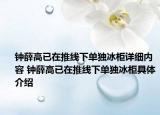 鐘薛高已在推線下單獨(dú)冰柜詳細(xì)內(nèi)容 鐘薛高已在推線下單獨(dú)冰柜具體介紹