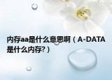 內(nèi)存aa是什么意思?。ˋ-DATA是什么內(nèi)存?）
