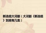 新選組大河?。ù蠛觿　缎逻x組》到底有幾集）