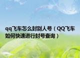qq飛車(chē)怎么封別人號(hào)（QQ飛車(chē)如何快速進(jìn)行封號(hào)查詢(xún)）