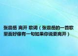張震岳 離開 歌詞（張震岳的一首歌里面好像有一句如果你說要離開）