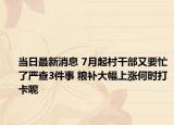當(dāng)日最新消息 7月起村干部又要忙了嚴查3件事 糧補大幅上漲何時打卡呢