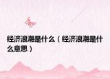 經濟浪潮是什么（經濟浪潮是什么意思）