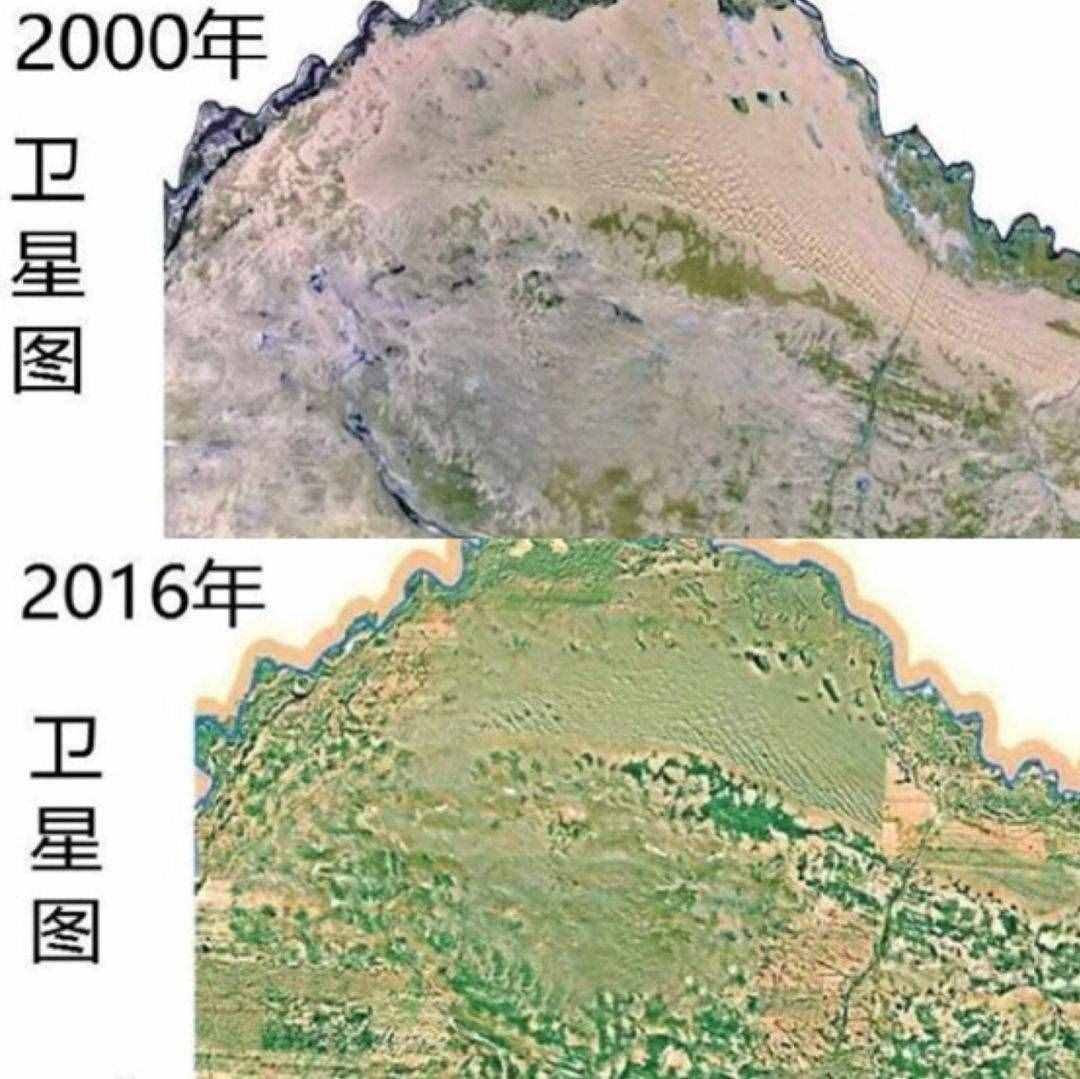 明明不是植物的發(fā)菜，為什么會(huì)被列為一級(jí)保護(hù)植物？