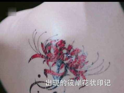 風(fēng)云令真相揭曉，是楚喬香肩上的彼岸花，但這也太草率了吧