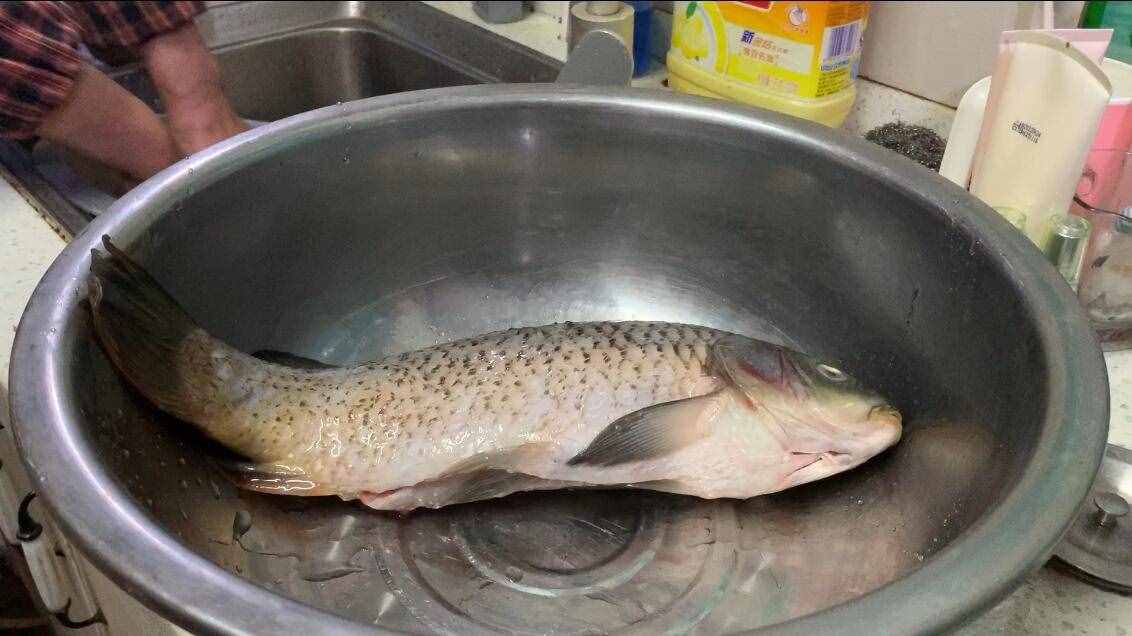 家常燉魚(yú)，直接下鍋炸就錯(cuò)了！多加一步，魚(yú)肉酥爛不破皮，太香了