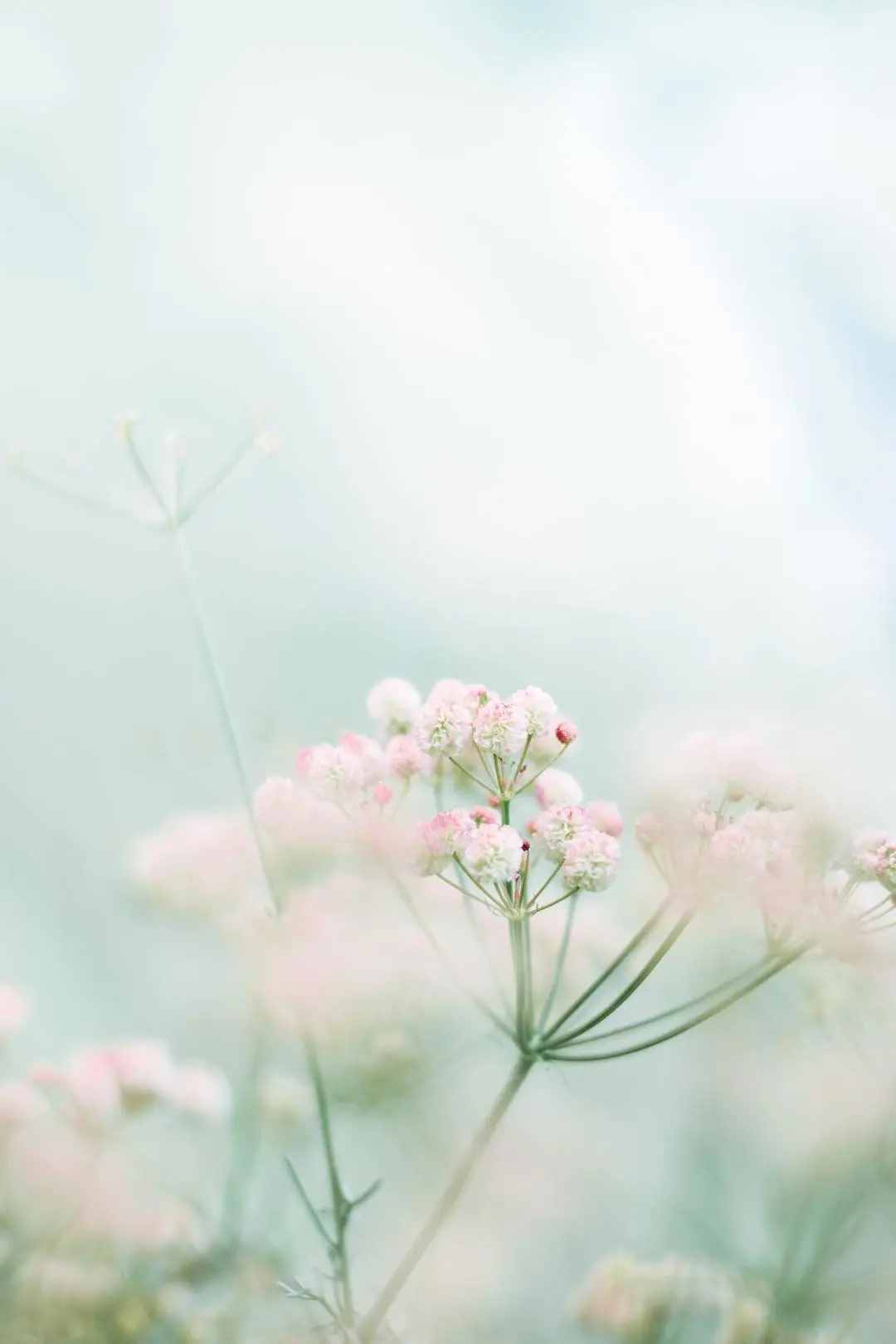 快收藏這份春游踏青全攻略，草地微風(fēng)、野餐花海，不負(fù)好春光