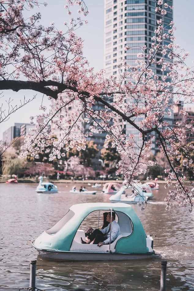 快收藏這份春游踏青全攻略，草地微風(fēng)、野餐花海，不負(fù)好春光