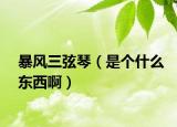 暴風三弦琴（是個什么東西啊）