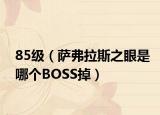 85級（薩弗拉斯之眼是哪個BOSS掉）