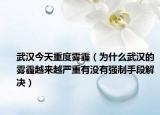 武漢今天重度霧霾（為什么武漢的霧霾越來(lái)越嚴(yán)重有沒(méi)有強(qiáng)制手段解決）