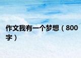 作文我有一個夢想（800字）