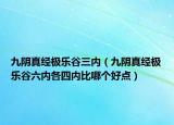 九陰真經(jīng)極樂谷三內(nèi)（九陰真經(jīng)極樂谷六內(nèi)各四內(nèi)比哪個好點）