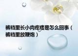 褲襠里長(zhǎng)小肉疙瘩是怎么回事（褲襠里放鞭炮）