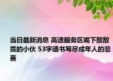 當(dāng)日最新消息 高速服務(wù)區(qū)喝下敵敵畏的小伙 53字遺書寫盡成年人的悲喜