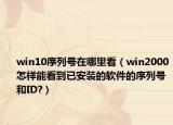 win10序列號在哪里看（win2000怎樣能看到已安裝的軟件的序列號和ID?）