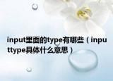 input里面的type有哪些（inputtype具體什么意思）