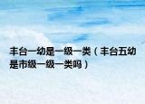 豐臺一幼是一級一類（豐臺五幼是市級一級一類嗎）