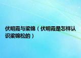 伏明霞與梁錦（伏明霞是怎樣認識梁錦松的）