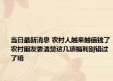 當(dāng)日最新消息 農(nóng)村人越來越值錢了農(nóng)村朋友要清楚這幾項福利別錯過了哦