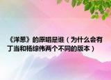 《洋蔥》的原唱是誰（為什么會有丁當(dāng)和楊綜偉兩個不同的版本）