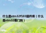 什么是stm32f103固件庫（什么是stm32看門狗）
