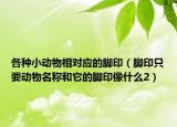 各種小動(dòng)物相對(duì)應(yīng)的腳印（腳印只要?jiǎng)游锩Q和它的腳印像什么2）