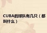 CUBA的球隊有幾只（都叫什么）