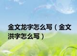 金文龍字怎么寫（金文洪字怎么寫）